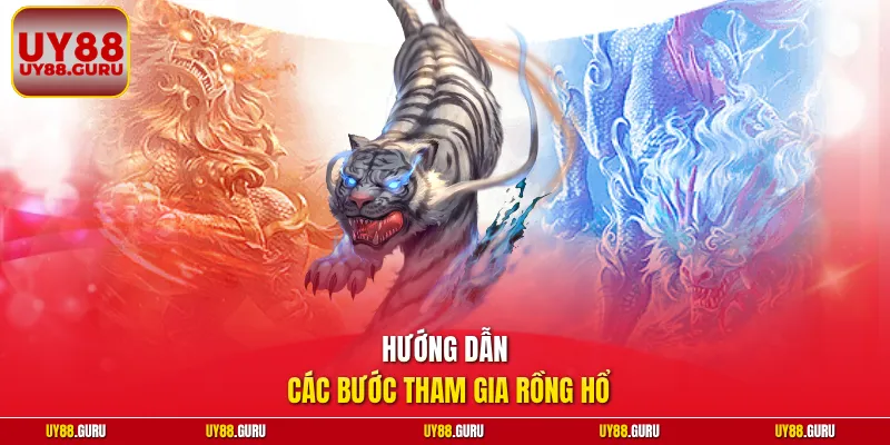 Hướng dẫn các bước tham gia Rồng Hổ